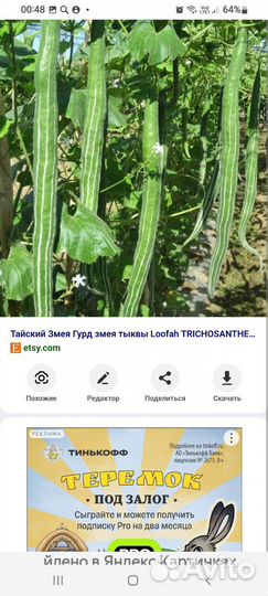 Трихозанд семена