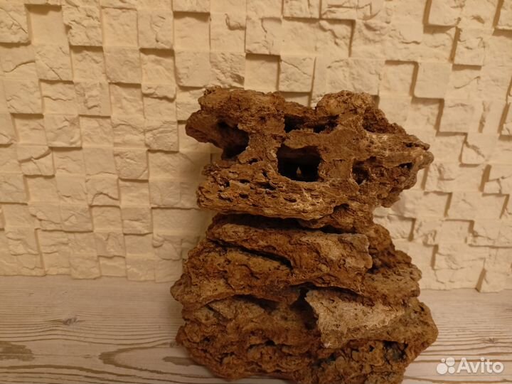 Кораллы для аквариума