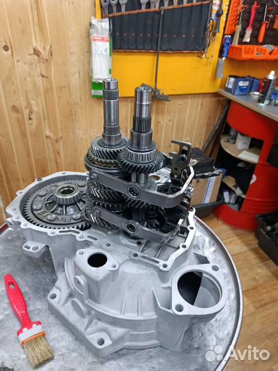 С мопсом глянули фото кп, он поперхнулся педигри