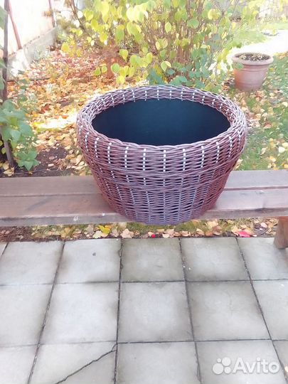 Миниклумба для цветов