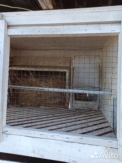 Клетки для кроликов