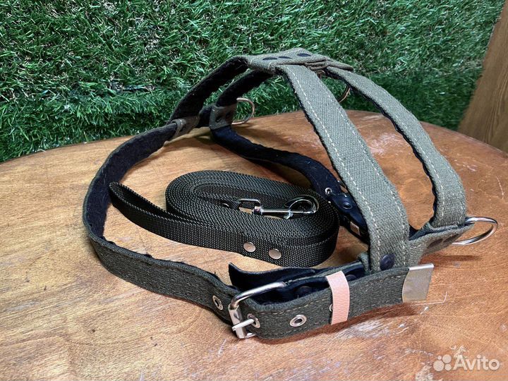 Шлейка для большой собаки и поводок 5м
