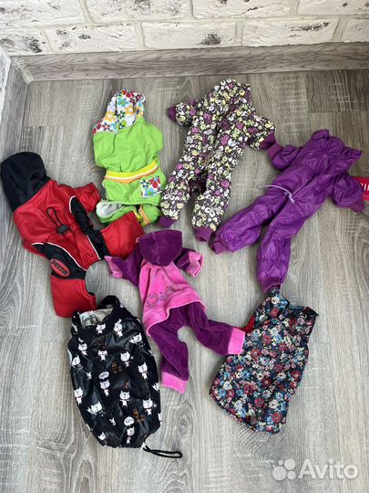 Одежда для мелких пород собак