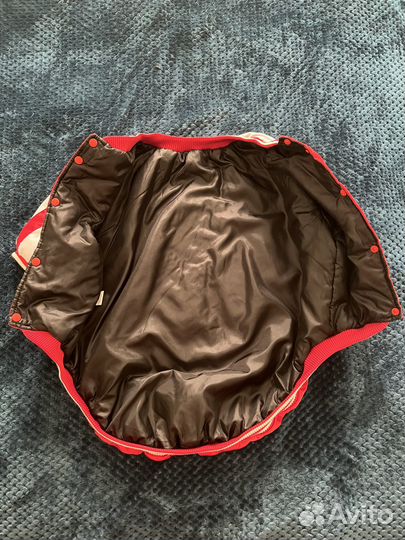 Одежда для собаки