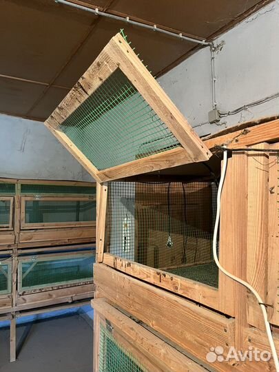 Клетки для цыплят