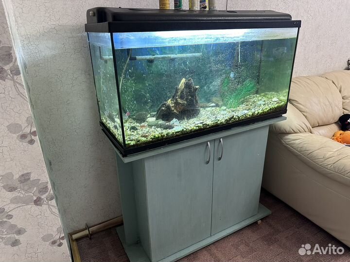 Аквариум с тумбой 200 литров