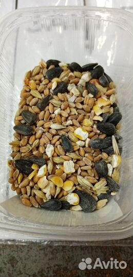 Зерносмесь высококачественная для птицы