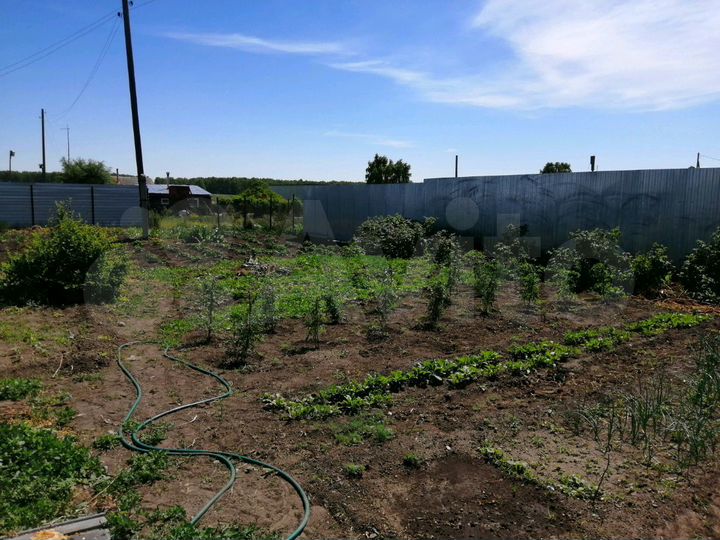 Дом 38 м² на участке 12 сот.