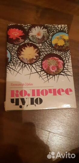 Книга Колючее чудо и Книги по садоводству