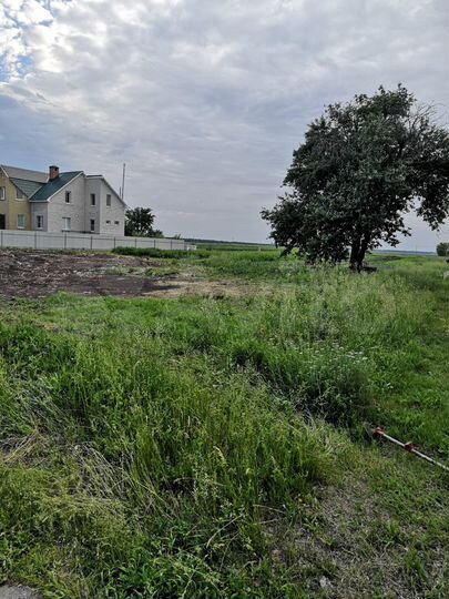 Участок 25,4 сот. (ИЖС)