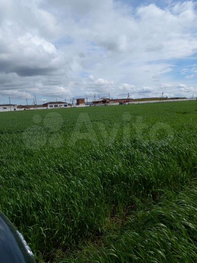 Участок 29 сот. (ИЖС)