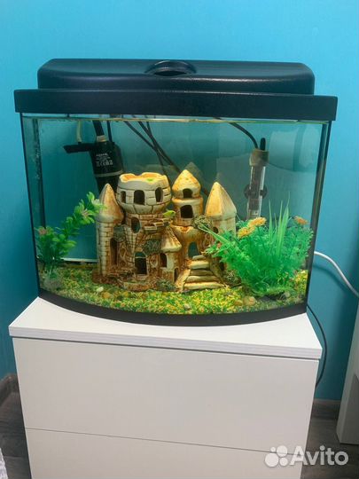 Аквариум