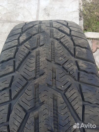 Tigar Winter 185/55 R15 82T