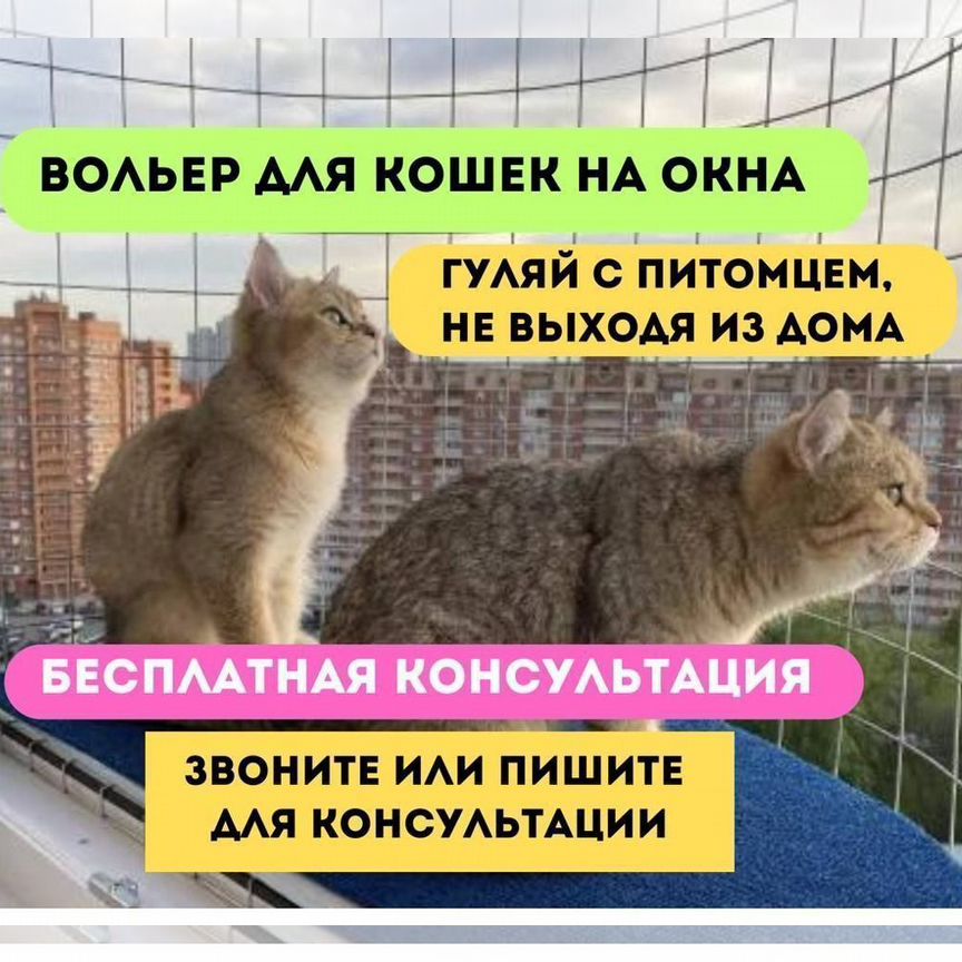 Балкон для кошек