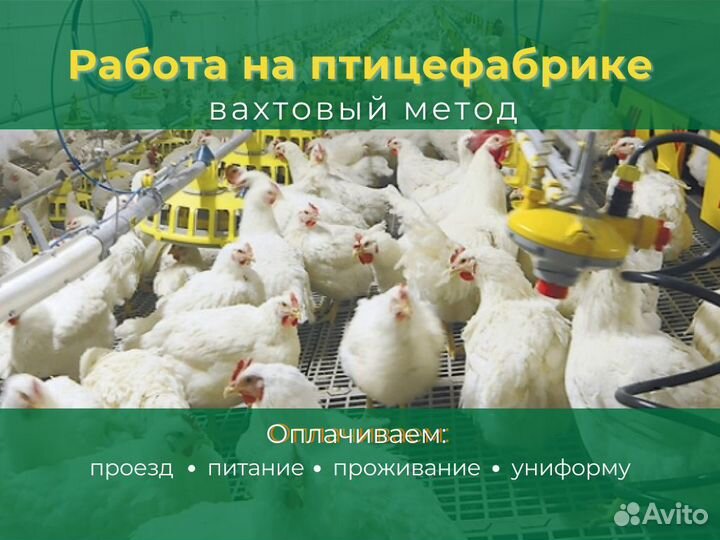 Упаковщик-разнорабочий вахта г. Катайск