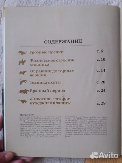 Книга Энциклопедия животных 