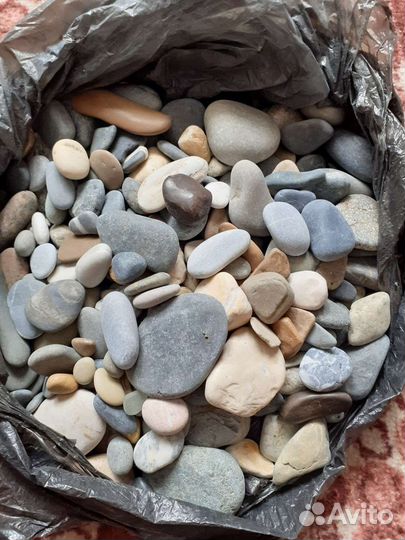 Галька морская