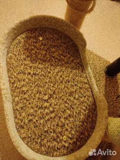 Комплекс Когтеточка