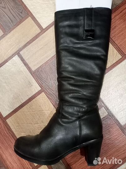 Сапоги женские кожа