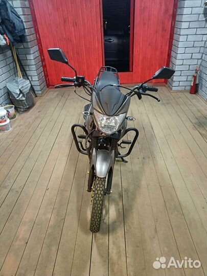 Alpha Rx 50 (125)