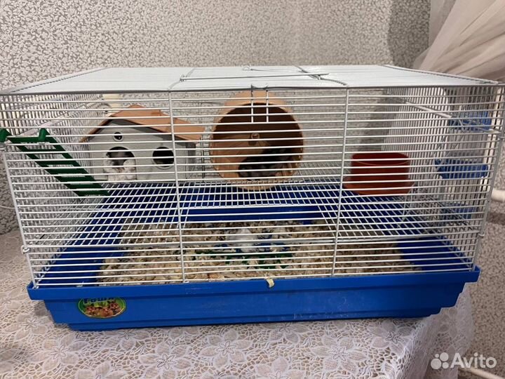 Клетка для хомяка