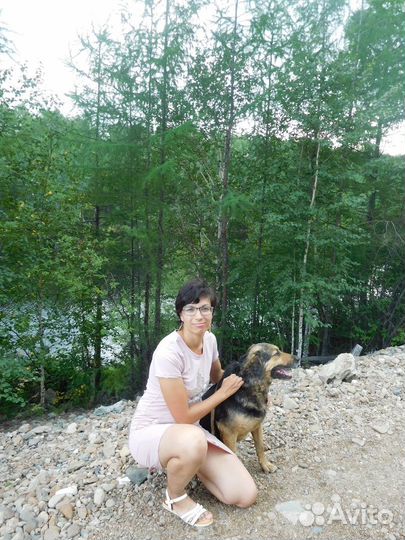 Дрессировка и коррекция поведения собак