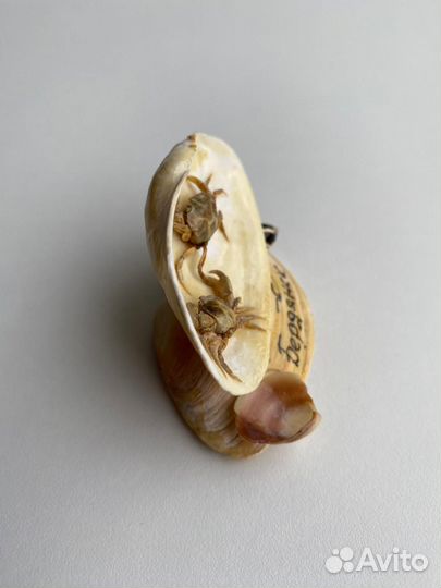 Сувенир из ракушек