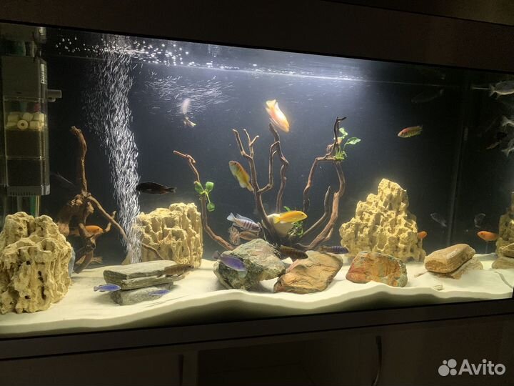 Аквариум с тумбой с рыбками