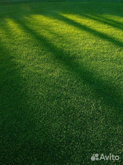 Podkormin Удобрение для газона весна