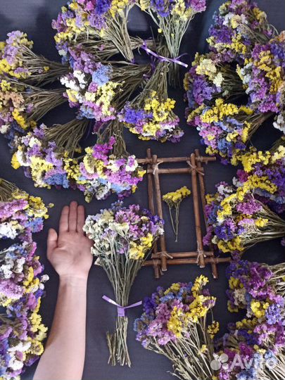 Сухоцветы статица