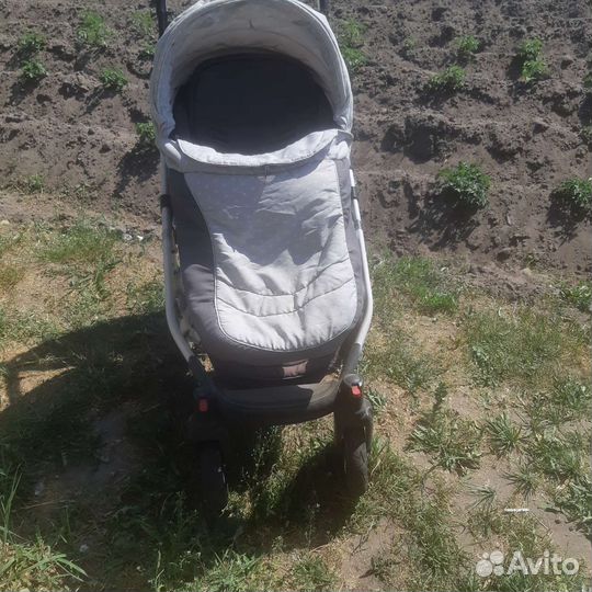 Коляска 2 в 1 adamex