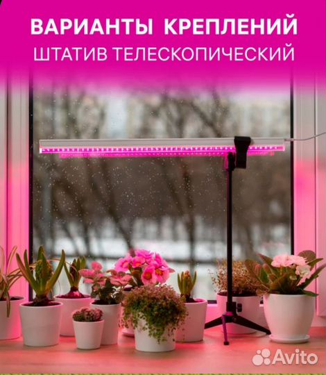 Фитолампа для растений