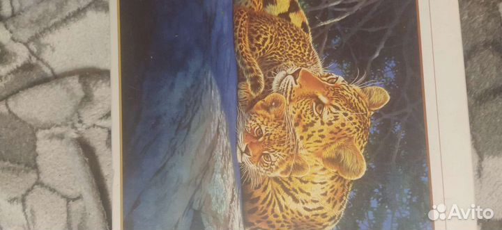 П а з л ы леопард