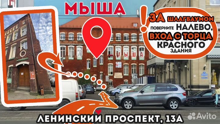 HP ноутбук Доступный игровой лэптоп