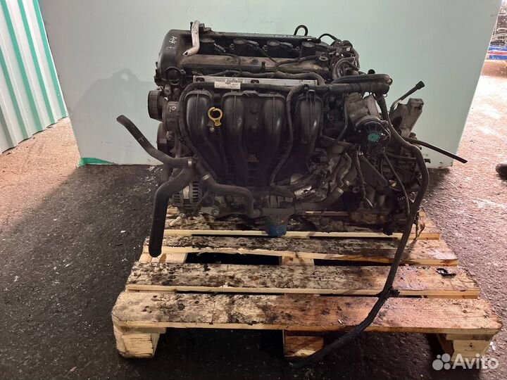 Двигатель на авто Ford Focus 2 2.0 C307/ Aoda