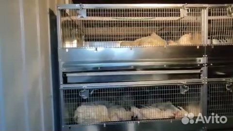 Утепленный курятник/перепелятник на 400 голов