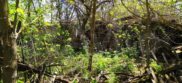 Дом 74 м² на участке 29 сот.