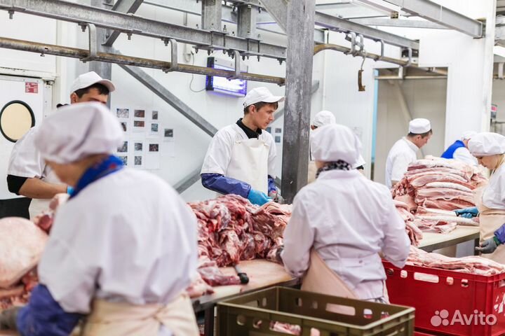 Разнорабочие на крупный мясокомбинат вахта от 7 см