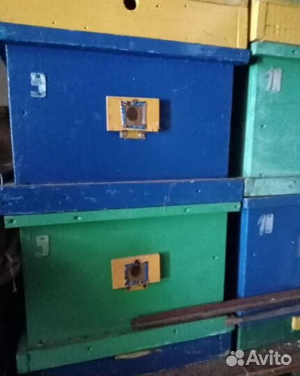 Ульи для пчел