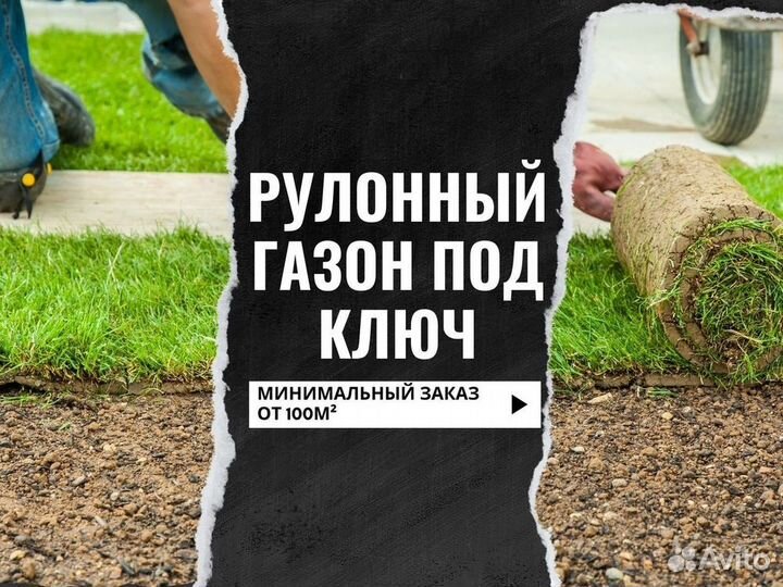 Укладка рулонного газона