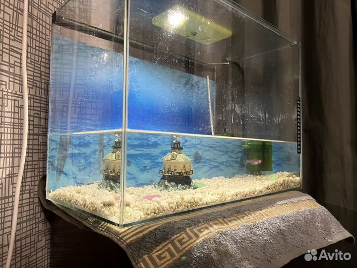 Аквариум 60л с рыбками