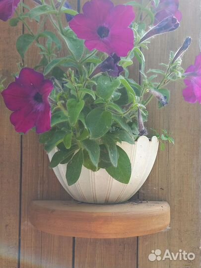 Мини полки под цветочные кашпо