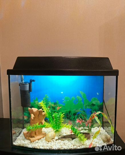 Аквариум 30 литров