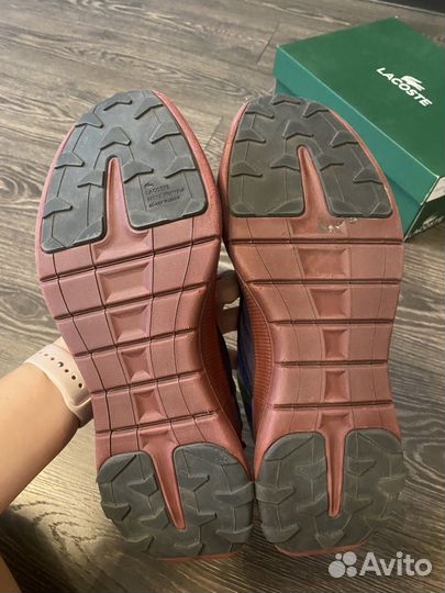 Кроссовки мужские lacoste оригинальные