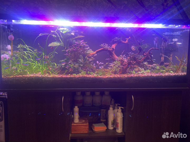 Аквариум со всем оборудованием