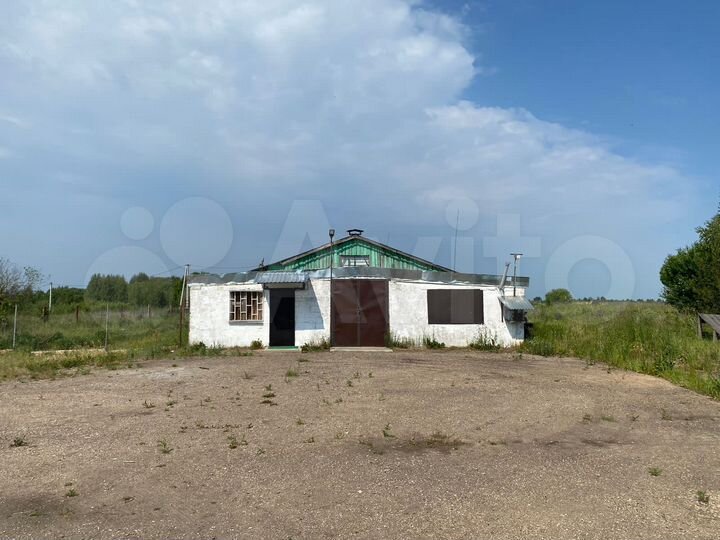 Здание, 1246.3 м²