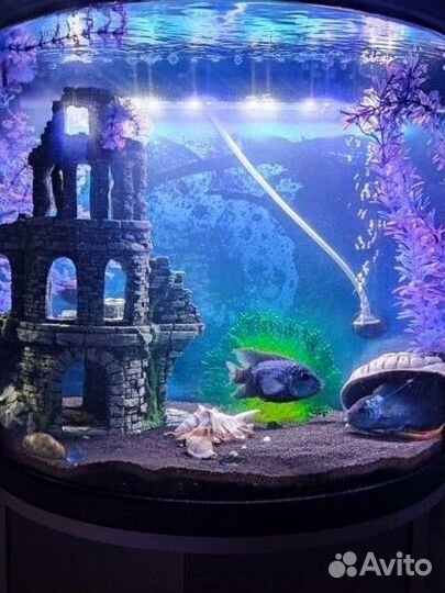 Аквариум с тумбой