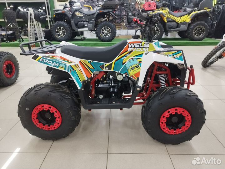 Квадроцикл Wels Thunder Evo.M