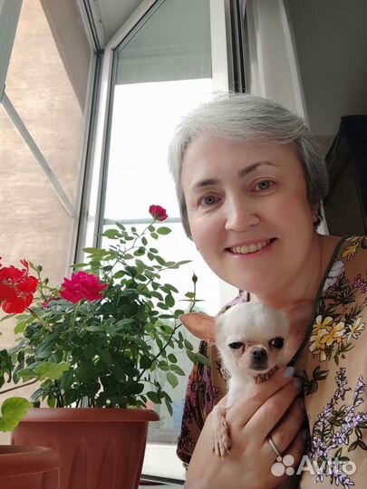 Бабушка на час. Няня на час. Няня-сопровождающая