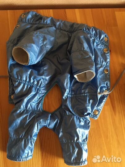 Одежда для собак мелких пород